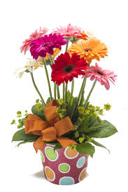 Pero que tal si te enseño que puedes hacer tus. 43 Ideas De Arreglos Florales Pequenos Arreglos Florales Arreglos Florales Sencillos Arreglos