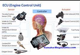 Check spelling or type a new query. Diagram Wiring Diagram Ecu Mio J Full Version Hd Quality Mio J Solardiagrams Hotelrigelcatania It