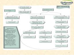 Pharmaneeks Process Flow Chart Description