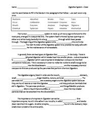 The two main sources of food energy are carbohydrates and proteins. 35 Nutrients And Digestion Worksheet Answers Worksheet Project List