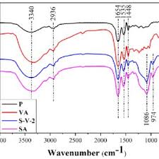 Image result for Tessmannia burttii