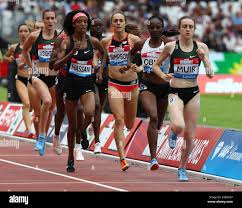 Sifan hi-res stock photography and images - Page 13 - Alamy