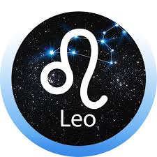 Leo By Zodiacult Leo Leo Zodiac Sign Design