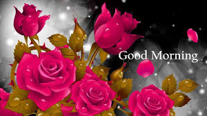 Use them in commercial designs under lifetime, perpetual & worldwide rights. Good Morning Rose Wallpapers Wallpaper Cave