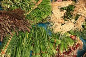 Image result for manipur images