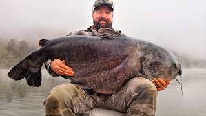 Lightning Strikes Twice For Trophy Catfishermen Wztv
