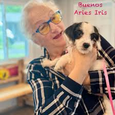 We are thrilled for these furbabies and their new families! Wishing you  long and happy lives together. Congrats and thank you for rescuing with us!  🙏🐾🐶❤️🐕