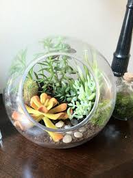 Large Round Glass Air Plant Succulent Moss Cactus Terrarium Ultimate Gift Home Decor On Etsy 51 00 Cactus Terrarium Succulents Air Plants