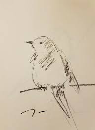 Sketch Bird On Branch Drawing Jose Trujillo Original Little Bird On Branch Charcoal Paper Sketch Drawing 9x12 Bird Drawings Drawing Sketches Drawings