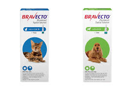 We did not find results for: Best Flea Treatments For Cats And Dogs 2021 Reviews By Wirecutter