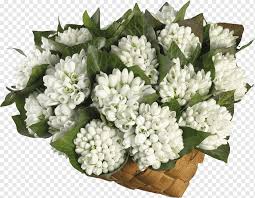 Für wirklich jeden anlass der richtige strauß: Schneeglockchen Blumenstrauss 8 Marz Tulpe Blumenstrauss Aus Weissem Stoff Hintergrund Weiss Schwarz Weiss Strauss Png Pngwing