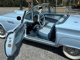 Image result for Starmist Blue 1957 Thunderbird