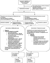 Image result for Panic Disorder Management