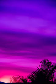 Purple sunset sky nature landscape evening dusk water clouds summer. Purple Sunset Skies Purple Purpleaesthetic Purple Sunset Sky Landscape Sunset Sky