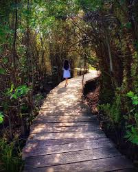 The specific address of kongmujiang national wetland park is 150 meters west of the intersection of xinbei avenue and juxiang road. Attractionsinsrilanka On Twitter Beddagana Wetland Park Colombo Srilanka Https T Co 1jk3xyecwl Photo Credit Apple Juice Travel Travelsrilanka Nature Visitsrilanka Naturephotography Travelphotography Wonderlust Srilankanature Colombo
