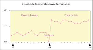 Ils sont généralement associés à des douleurs pelviennes et abdominales plus si l'ensemble des femmes est susceptible de subir une fausse couche, certains facteurs peuvent néanmoins augmenter les risques. Ovulation Et Cycle De Fecondite Reconnaitre Son Cycle Feminin