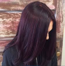 Image Result For Rich Dark Brown Hair With Dark Purple Tint Hair Color Plum Plum Hair Hair Tint