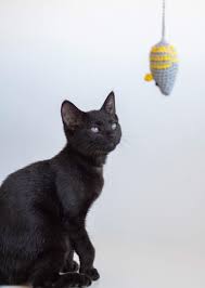 It is almost too cute to let your cat play with. Toy Mouse For Cats Free Amigurumi Pattern Daisy And Storm