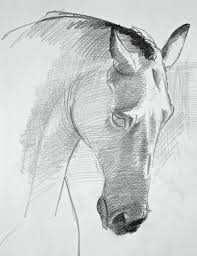 In order to draw a convincing horse, you will first need to know what. How To Draw Horse Easy Way Learn How To Draw