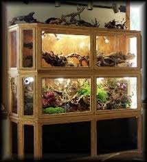 Diy Bird Animal Terrarium Reptile Snake Enclosure Glass Colordao Springs Colorado Home Garden Snake Enclosure Reptile Snakes Diy Birds