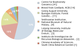 Image result for Dichapetalum edule