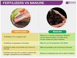 Maybe you would like to learn more about one of these? Fertilizers Vs Manure Difference Between Fertilizers And Manures