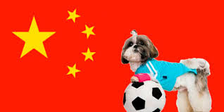 We have compiled a myriad of chinese titles for puppies and their significance. 140 Chinese Dog Names Dognames Info