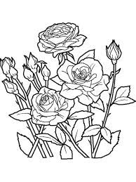 Flower And Rainbow Coloring Pages Below Is A Collection Of Beautiful Flower Coloring Page Whic Rose Coloring Pages Garden Coloring Pages Spring Coloring Pages