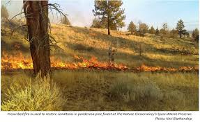 LANDFIRE Applications