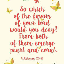 Maison Des Roses Maisondesroses Kl Instagram Photos And Videos Instagram Instagram Photo Photo And Video