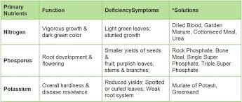 Nitrogen is a part of all living cells and is a necessary part of all proteins, enzymes and metabolic processes involved in the synthesis and transfer of energy. Espoma Company Plant Food Basics Understanding Plant Nutrition Espoma Fertilizer For Plants Plant Food