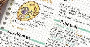 Science Notes School Organization Notes Science Notes Notes Inspiration