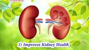 Jan 23, 2019 · can garden egg leaf cure kidney disease? How To Use Garden Egg Leaves To Clean Your Kidney To Avoid Dialysis Youtube