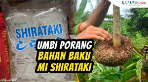 Sejumlah petani memperlihatkan contoh tanaman porang kepada warga di sugino, petani dari kecamatan girimarto, kabupaten wonogiri mengungkapkan, tanaman porang. Anggota Dewan Ramai Ramai Tanam Porang Mengapa Tertarik Halaman All Kompas Com