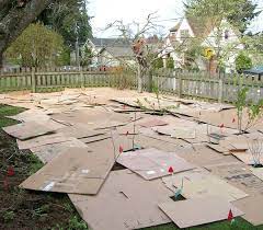 Oct 23, 2020 · you can also use cardboard to line the bottom of raised beds before filling them with soil. Diy Cardboard Projects Ideas For Garden Balcony Garden Web