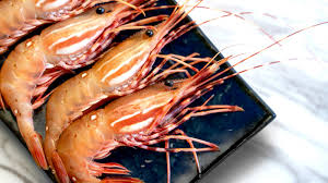 A mantis shrimp's carapace (the hard, thick shell that covers crustaceans and some other species) covers only. This Is The Best Type Of Shrimp To Buy