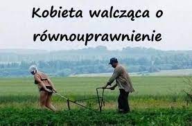 images?q=tbn:ANd9GcSsAjHl0itgisc2K8yu7hF