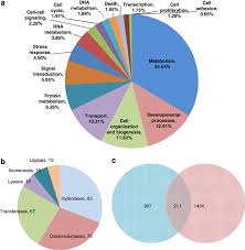 Choroid Plexus Cp Proteome A Proteins Were Identified