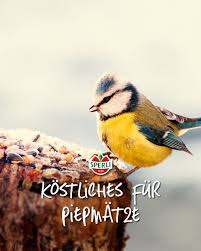 Unterstutze Die Kleinen Federtiere Mit Selbstgemachten Platzchen Oder Muffins Aus Vogelfutter Wie Du Die Leckerei Fur Uns In 2020 Ausgestopftes Tier Tiere Vogelfutter