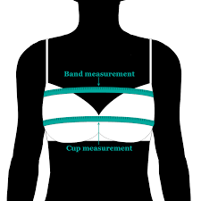 How To Measure For A Bra Sizecharter