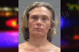 Annette Henry — Baldwin County Jail Bookings