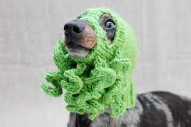 Tentacle octopus cthulhu knit hat beard beanie windproof ski cap mask. Knit A Cthulhu Dog Hat Doggy Cosplay At It S Best Knithacker