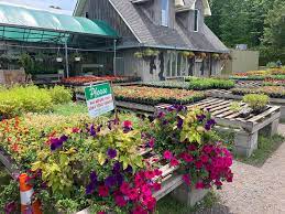 Country Market And Garden Centre Home Facebook