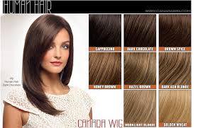 Revlon Wigs Color Charts