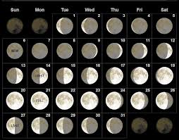 moon phases january 2019 moon calendar moon phase