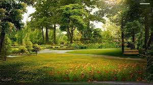 Keep in mind that an insulated building will last longer, and proper. High Resolution Garden Full Hd Wallpaper Id High Resolution Garden Images Full Hd 1920x1080 Wallpaper Teahub Io