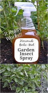 Many people assume that all natural pesticides are safe to use on all plants. 10 Homemade Insecticides That Keep Your Garden Pest Free Naturally Diy Crafts