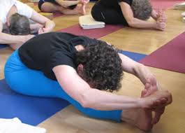 Vidya institute (toronto) is committed to the teaching of classical yoga and ancient wisdom traditions in a way that highlights their relevance to our contemporary world. Iyengar Yoga Centre