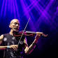 Dixon's Violin