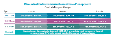 Choisir L Alternance Zoom Sur Le Contrat D Apprentissage